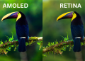 AMOLED VS RETINA