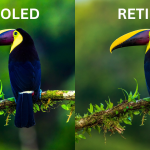 AMOLED VS RETINA