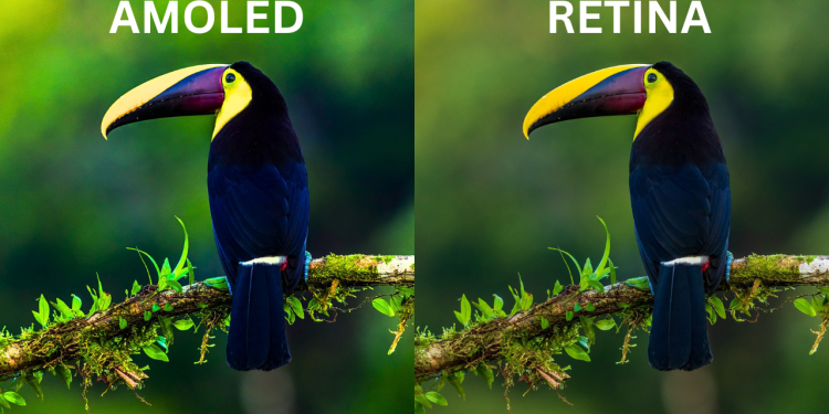 AMOLED VS RETINA