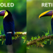 AMOLED VS RETINA