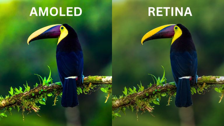 AMOLED VS RETINA