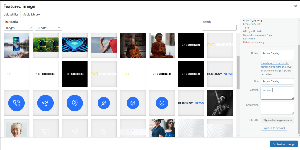 Add caption to WordPress Featured Image