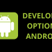 developer options android